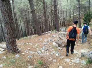 rutas de caminata.jpg